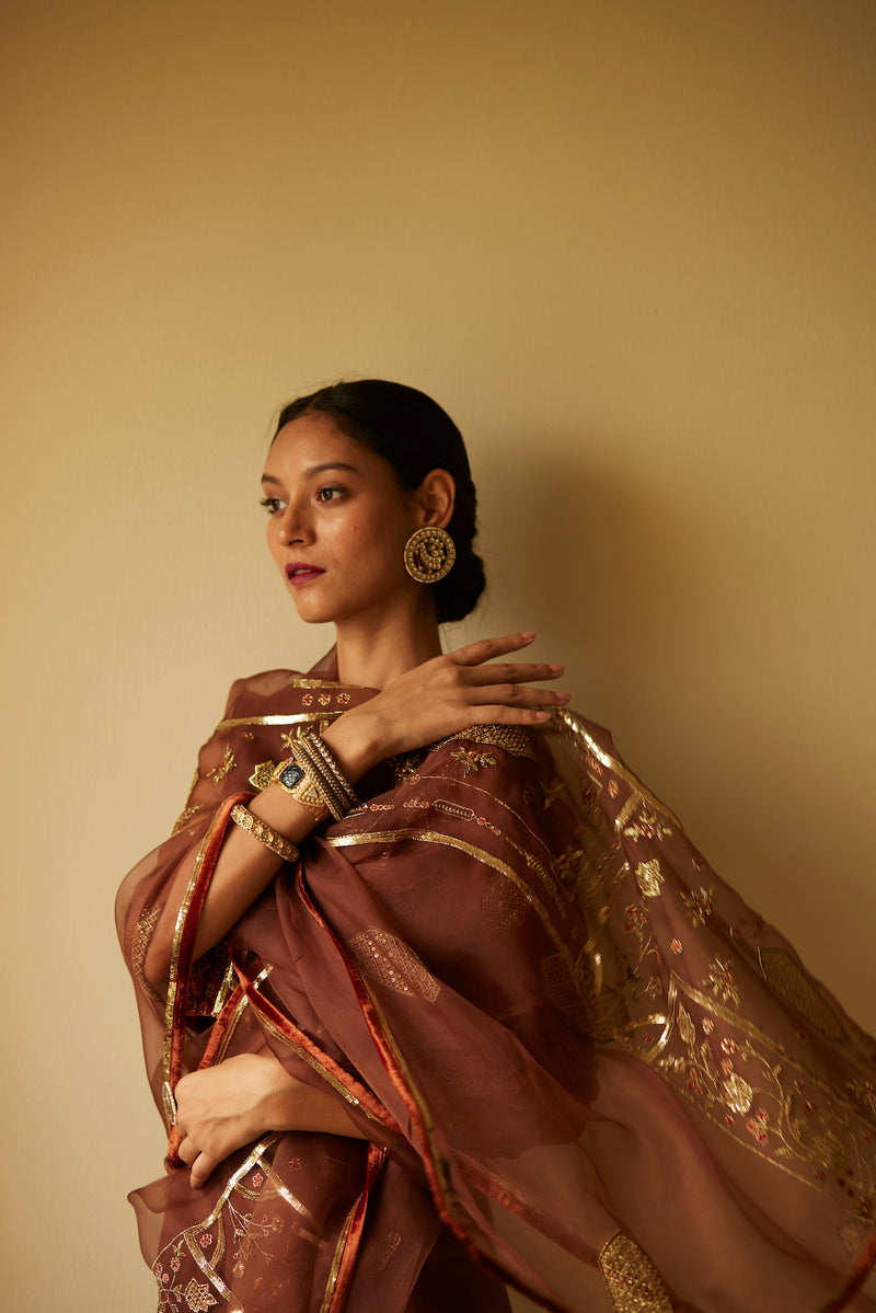 Brown Meera Saree