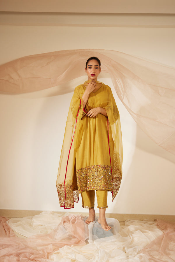 Yellow Gulaal Suit