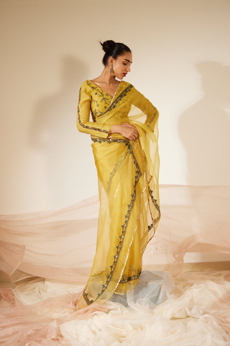 Yellow Abir Saree