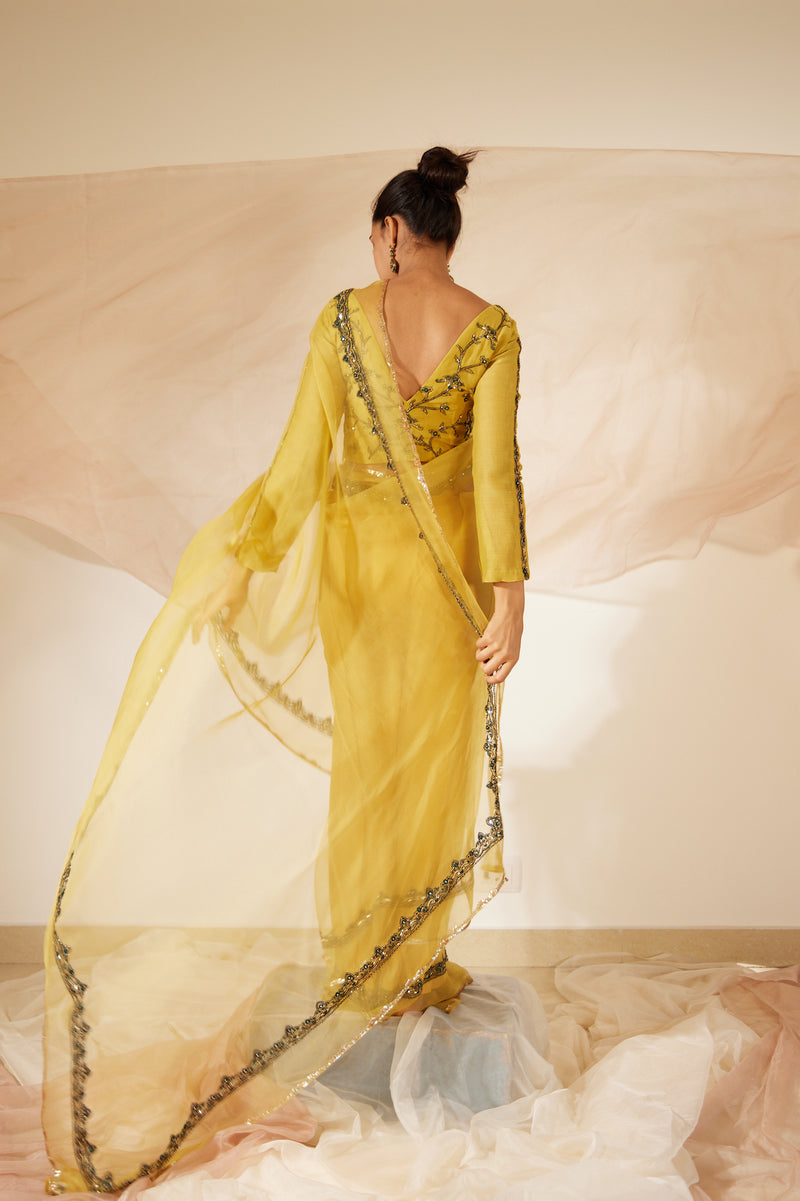 Yellow Abir Saree