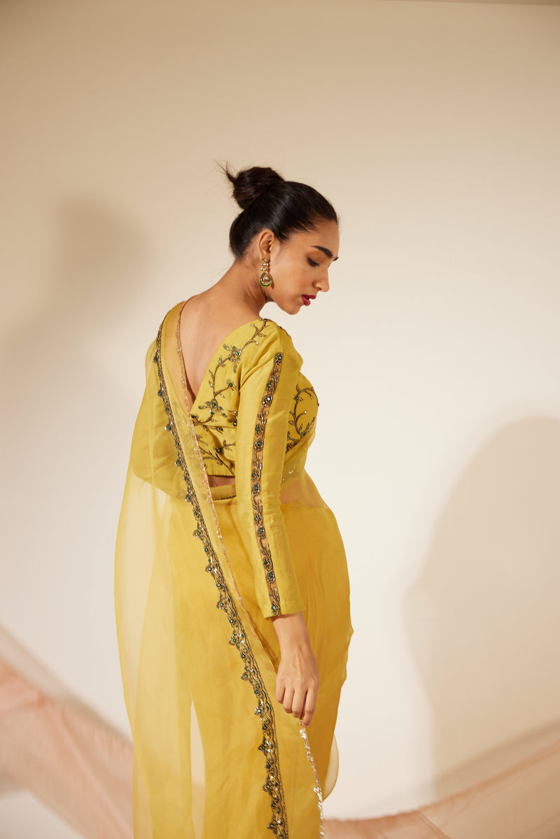 Yellow Abir Saree